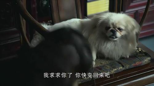 绑着老公睡觉,揭秘绑着老公睡觉的独特睡眠方式