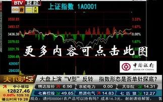 天下财经投资者说视频,揭秘投资智慧与市场动态