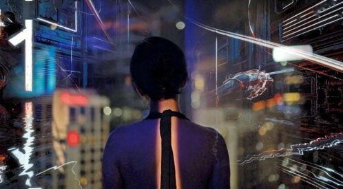 强盗爱与自由 视频,揭秘视频背后的故事