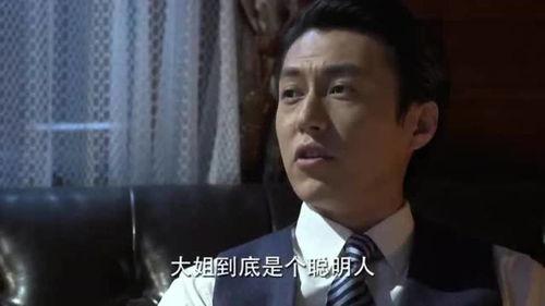 伪装者少爷挨家法视频,揭秘神秘家族的复仇传奇