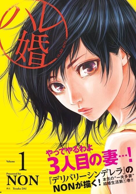 日本后官漫画,宫廷秘闻与后宫争斗的视觉盛宴