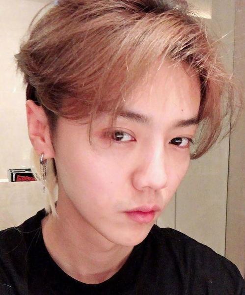 哪些明星带狗牙,跟随明星的脚步，探寻独特宠物魅力