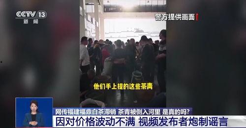 无底线爆料视频大全集下载,视频大全集下载背后的真相与争议