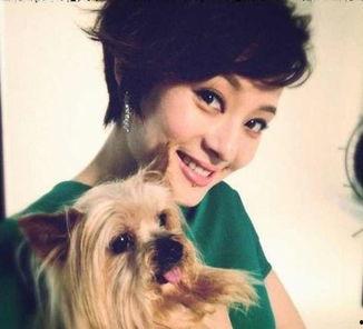 喜欢动物的明星,揭秘动物爱好者明星的温馨故事