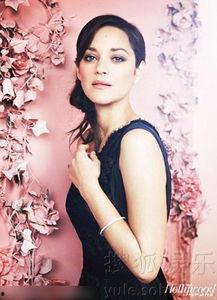 灵性明星,揭秘明星们的神秘灵性之旅