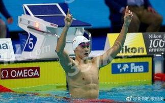 孙杨2017比赛视频,速度与激情的泳坛传奇