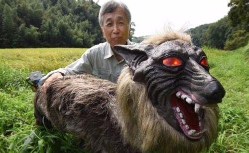 日本《怪物》在线播放,日本惊悚悬疑，在线播放带你探索未知黑暗面