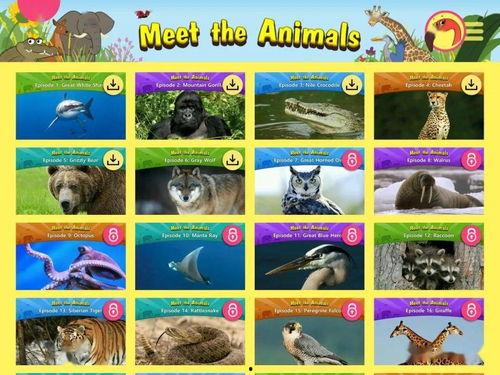 animals视频,从Animals视频看生命多样性