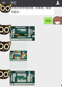 麻将配料爆料视频播放,视频播放带你探秘麻将背后的秘密