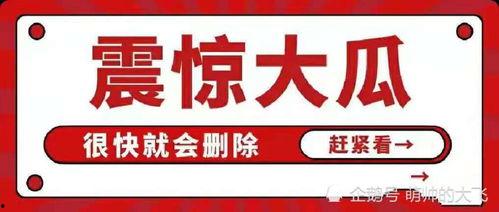 娱乐八卦每日吃瓜汇总